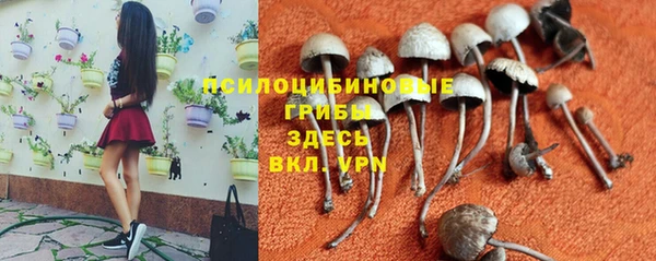 гашишное масло Богданович