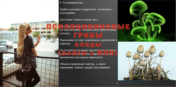 стафф Саяногорск