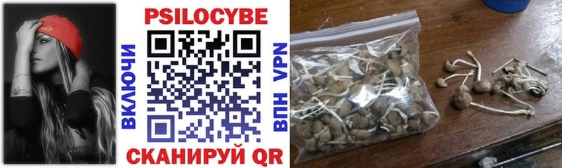продажа наркотиков  Покров  Галлюциногенные грибы Psilocybe 